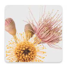Flourish Ceramic Coaster
