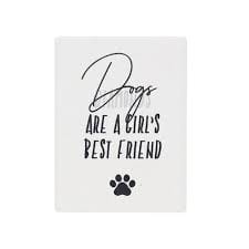 Dog / Cat Magnet