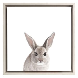 Splosh Baby Framed Art